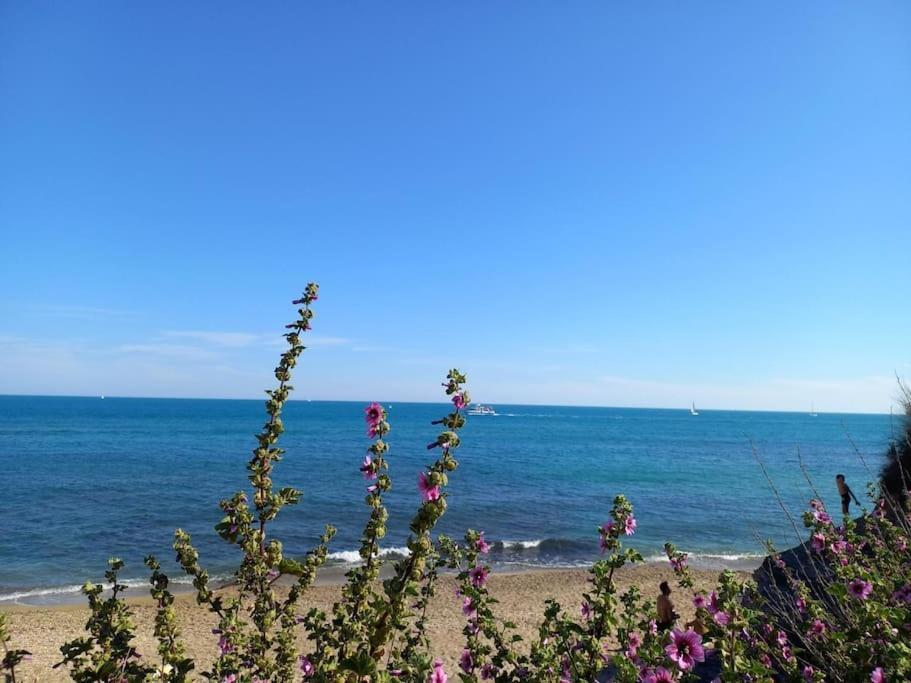 Port Du Cap D'agde *