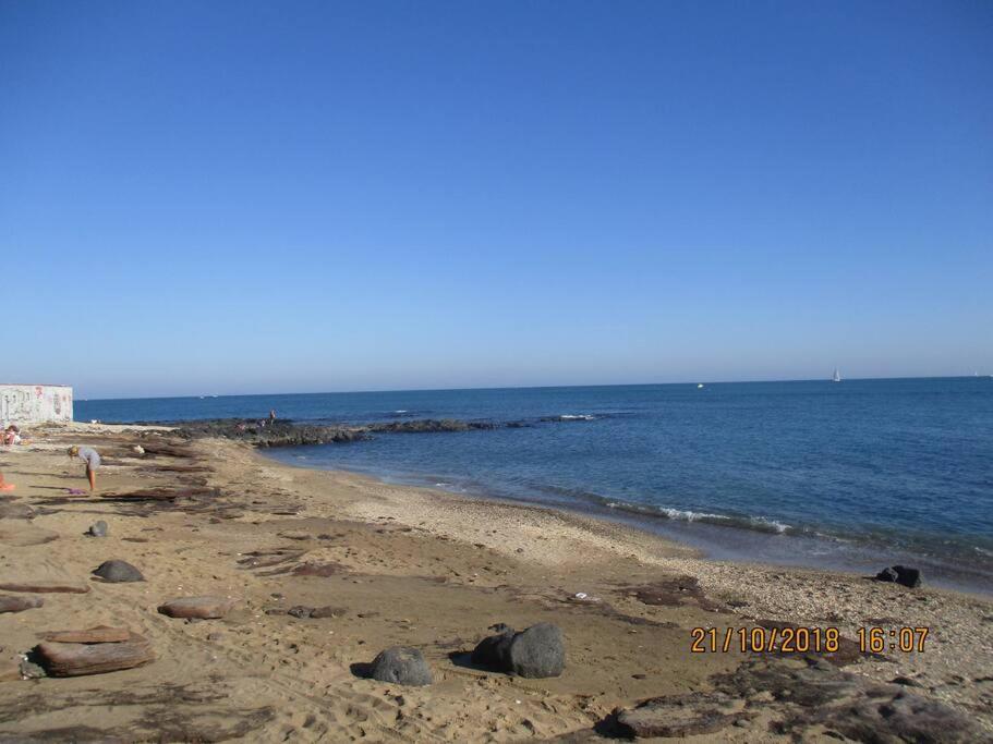 Port Du Cap D'agde Agde